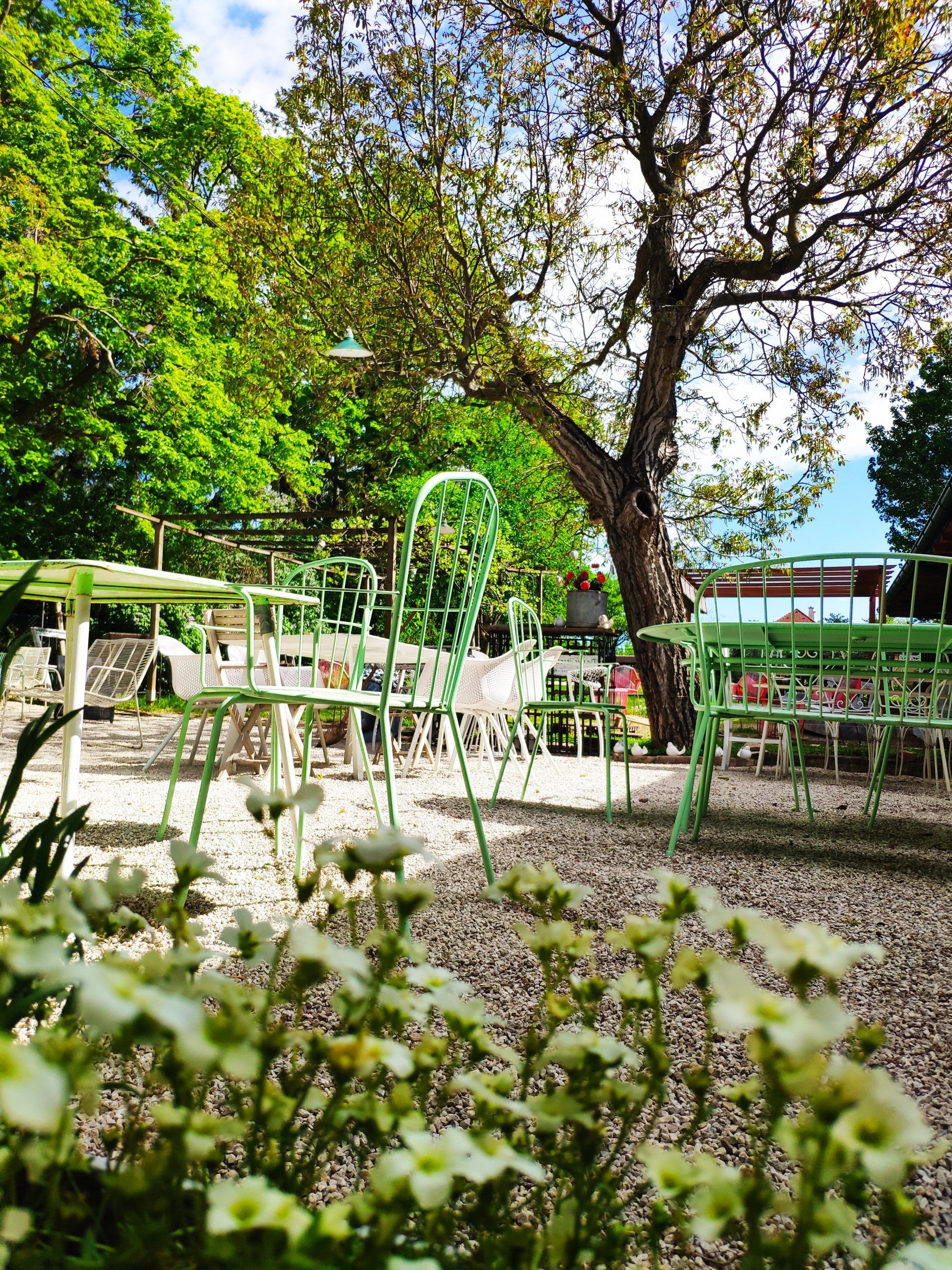 Sommerlicher Garten der Helene